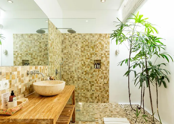 Gallici *